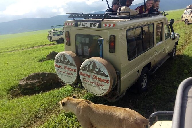 3 Days Big 5 Tour and Culture in Tanzania - Ngorongoro Crater: the strongest wildlife day