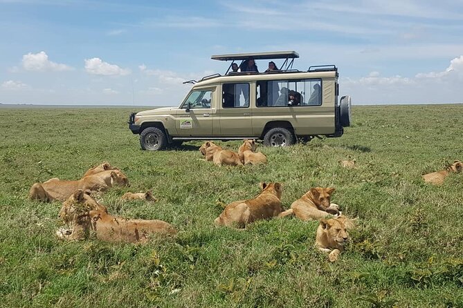 3 Days Big 5 Tour and Culture in Tanzania - What $1,150 buys you