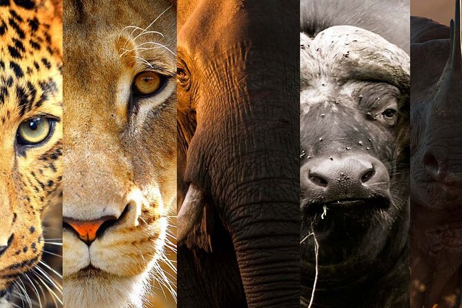 3 Days Big Five Unforgetable Lodging Tanzania Safari - Day one: Tarangire and its elephant country