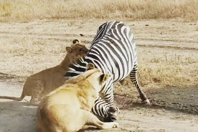 3-Days Budget Lodge Safari - Tarangire, Ngorongoro & Lake Manyara - Lake Manyara: Forest Shade and Birdlife