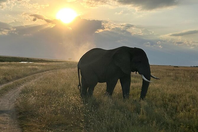 3-Days Budget Lodge Safari - Tarangire, Ngorongoro & Lake Manyara - Meals, Lodging, and Included Costs
