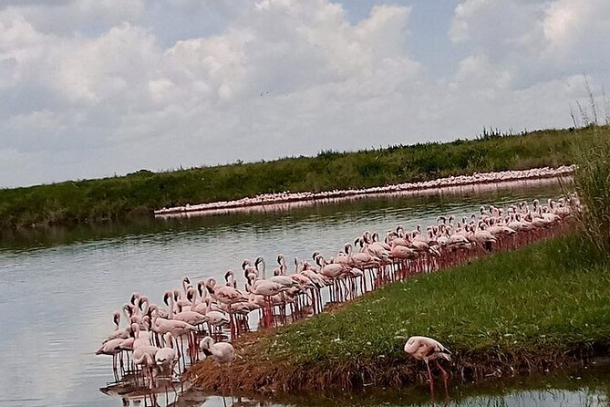 3-Days Budget Lodge Safari - Tarangire, Ngorongoro & Lake Manyara - Who Will Get the Most From This Safari?