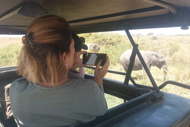 3-Days Budget Lodge Safari - Tarangire, Ngorongoro & Lake Manyara - Should You Book the Three-Day Route?