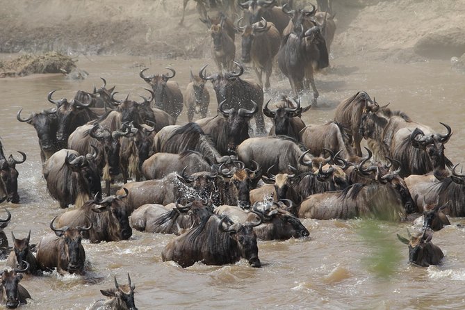 3 Days Camping Safari Tarangire, Lake Manyara and Ngorongoro Crater - Meals, water, and what you need to confirm