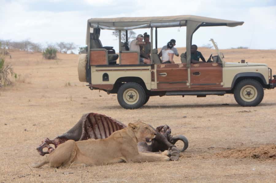 3 Days Flight Package Zanzibar to Nyerere/Selous - Key points to know before booking