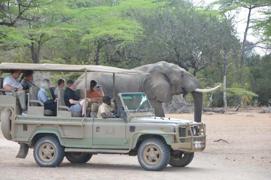 3 Days Flight Package Zanzibar to Nyerere/Selous - Zanzibar to Nyerere: a fast change of scene
