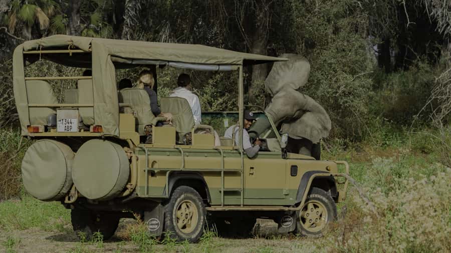 3 Days Flight Package Zanzibar to Nyerere/Selous - Mloka village and the pace of the cultural program