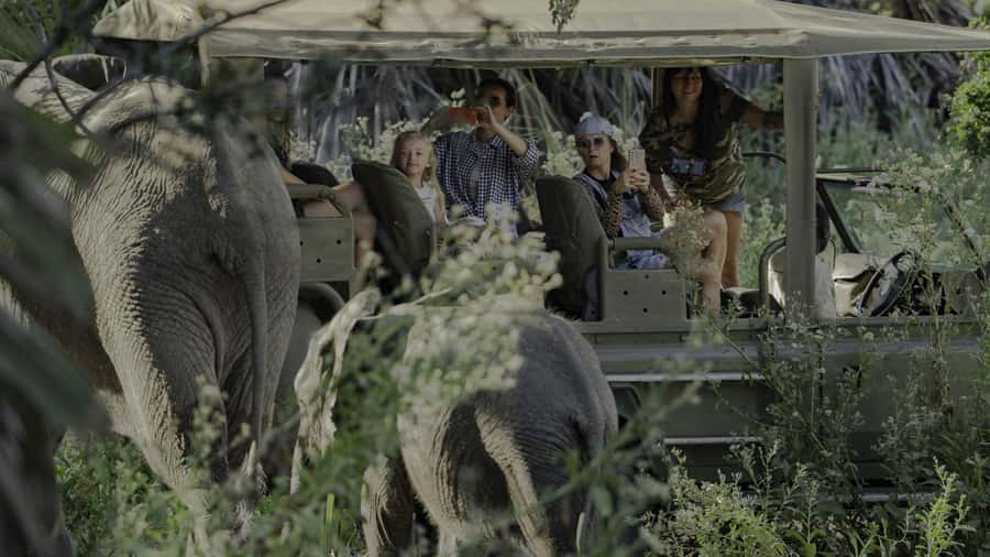 3 Days Flight Package Zanzibar to Nyerere/Selous - The Rufiji River boat safari at sunset