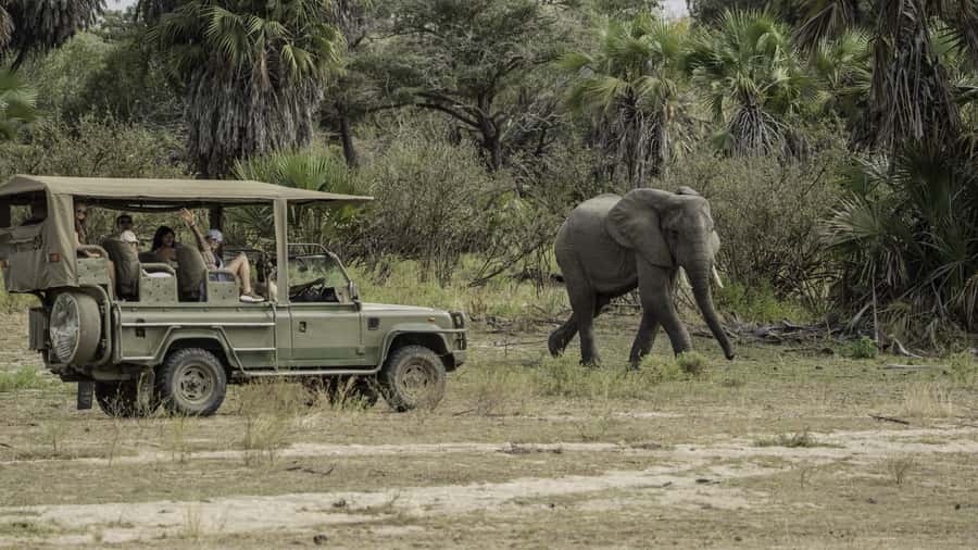 3 Days Flight Package Zanzibar to Nyerere/Selous - How the timing affects the value