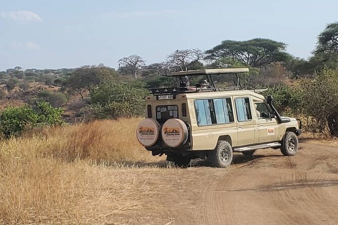 3 Days Fly in & Out Serengeti Park - Guide quality and the private setup