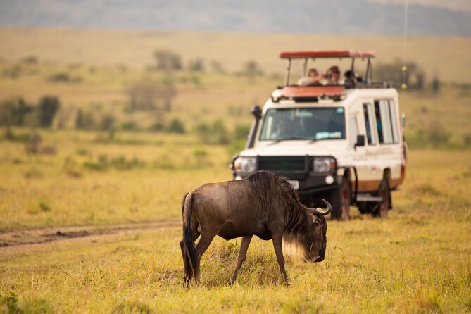 3 days fly in safari - Why flying makes this three-day safari work