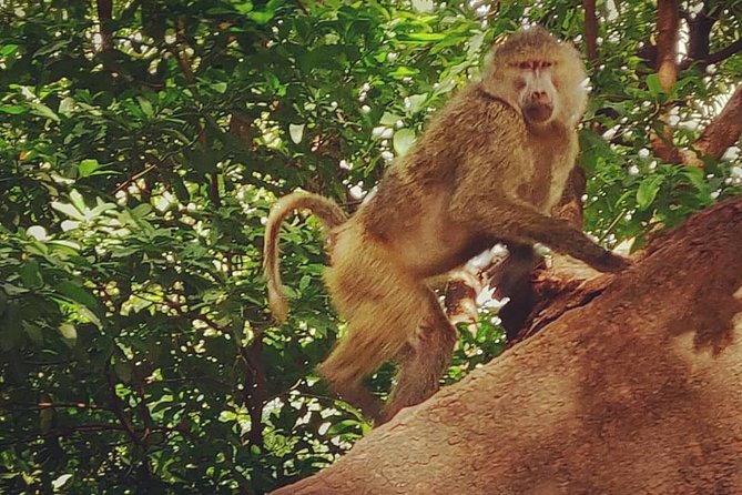 3 days fly in safari - Who will enjoy this safari most