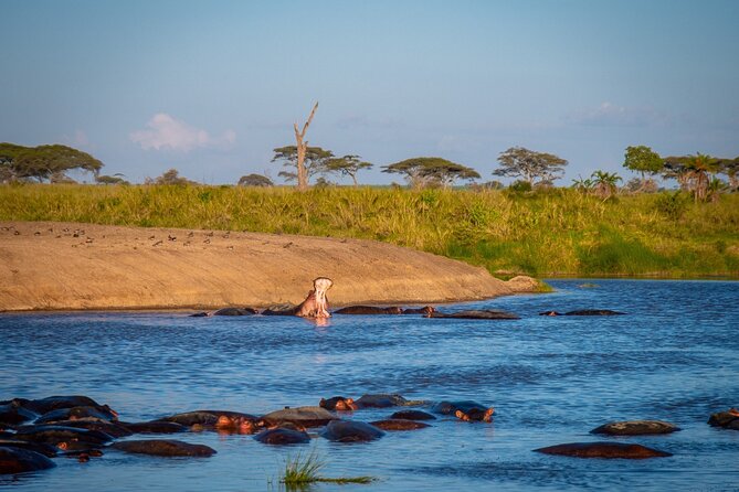 3 Days Group Safari Serengeti & Ngorongoro - Meals, camping, and the daily rhythm