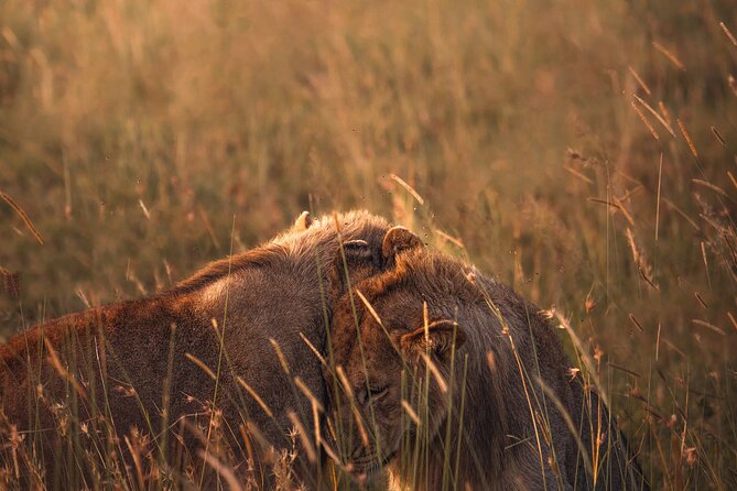 3 days Group tour Tarangire, Ngorongoro & lake manyara park - Who Will Get the Most From This Safari