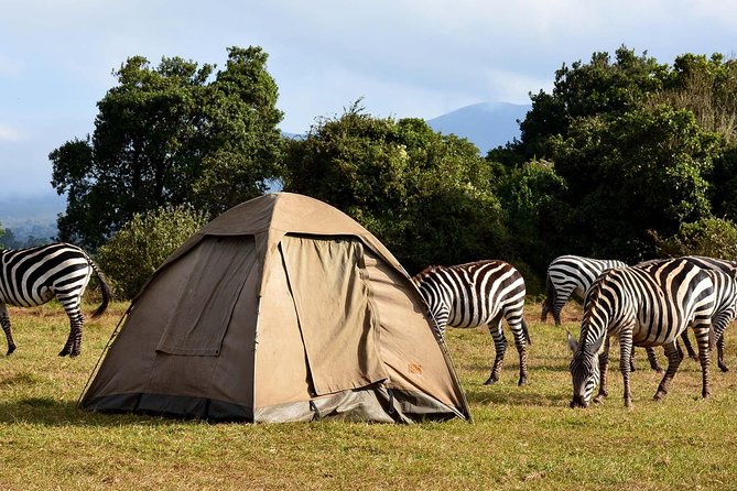 3 Days Joined Group Safari Ngorongoro,Lake Manyara and Tarangire National Park - Day 2: Forest, wetlands, and birds at Lake Manyara