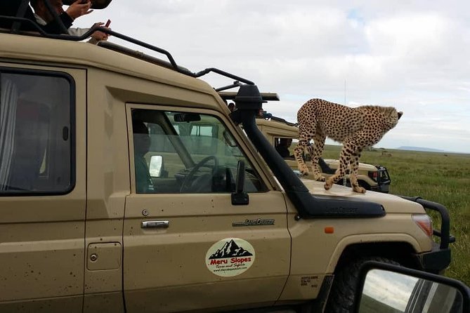 3 Days Lake Manyara, Ngorogoro Crater, Tarangire National Park - Day three: clarify Lake Manyara and Tarangire before you go