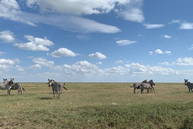 3 Days Lake Manyara, Tarangire, Ngorongoro Crater group (Camping) - Day one: Tarangire’s elephants and baobabs
