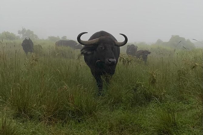3 Days Lake Manyara, Tarangire, Ngorongoro Crater group (Camping) - Food, timing, and the daily rhythm