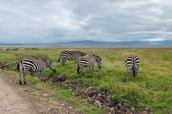 3 Days Lake Manyara, Tarangire, Ngorongoro Crater group (Camping) - What the $700 price really buys