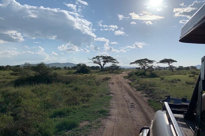3 Days Lake Manyara, Tarangire, Ngorongoro Crater group (Camping) - Who will enjoy this safari most?
