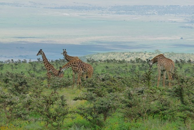 3 Days Lodge Safari - Where Lake Manyara fits into the plan