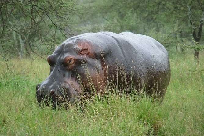 3 Days Lodge Safari - Who will enjoy this safari most