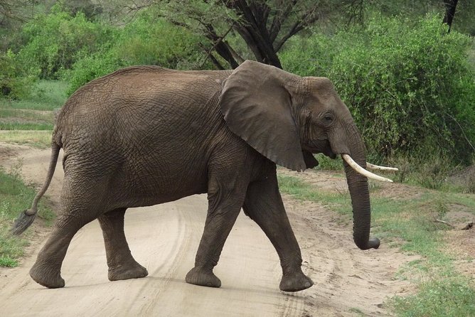 3 Days Lodge Safari - Booking details worth checking before departure
