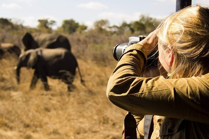 3-Days Lodge Safari in Tarangire, Ngorongoro Crater & Lake Manyara - Day three: birds, forest, and Lake Manyara