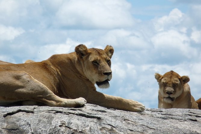 3 Days Lodge Safari - Day 2: The Ngorongoro Crater from the highlands