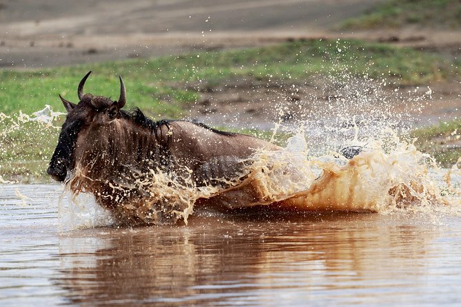 3 Days Luxury Lodge Safari in Tanzania - The parts you need to plan carefully