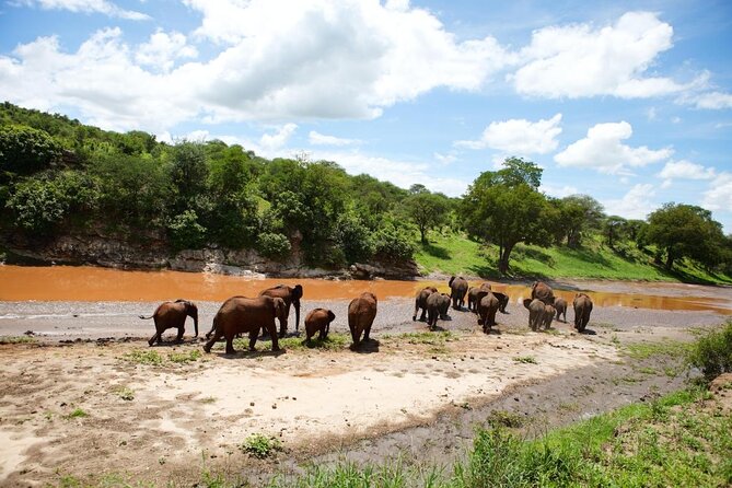 3 Days Luxury Safari - Key points at a glance