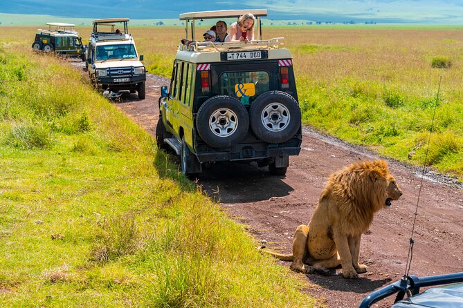 3 days Luxury Safari Tour in Tanzania - Three parks, three different safari moods