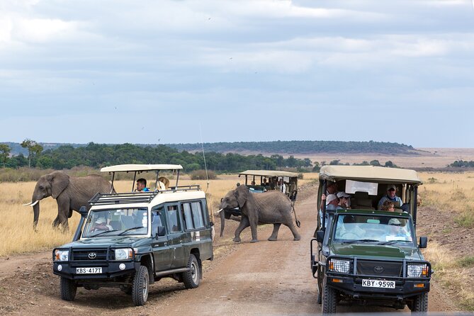3 days Luxury Safari Tour in Tanzania - What luxury means on this particular safari