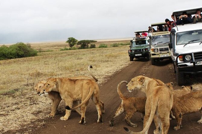 3 days Luxury Safari Tour in Tanzania - Who will enjoy this three-day route?