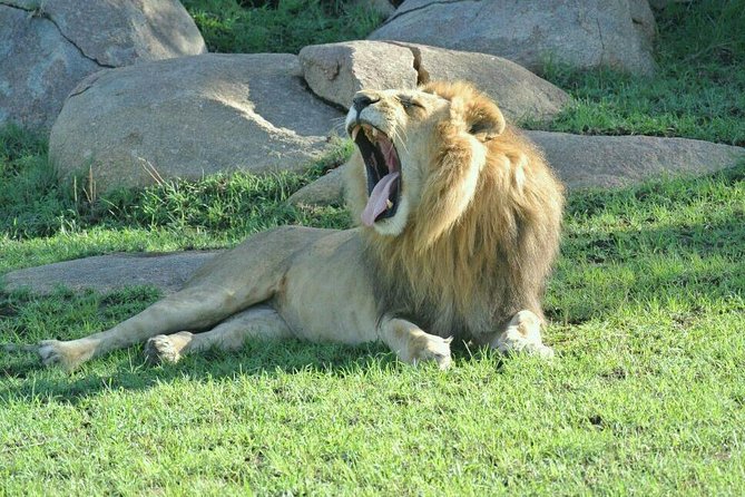 3 Days Luxury Safari - Materuni village and the slopes of Mount Kilimanjaro