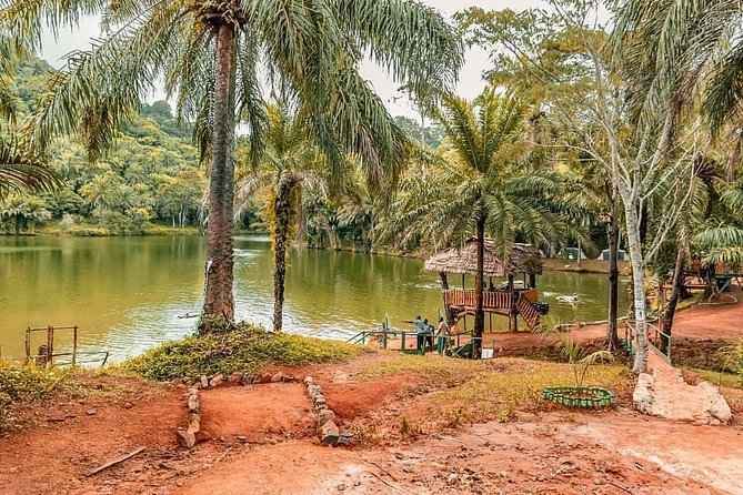3 Days Magoroto forest tour - The price: when $600 represents good value