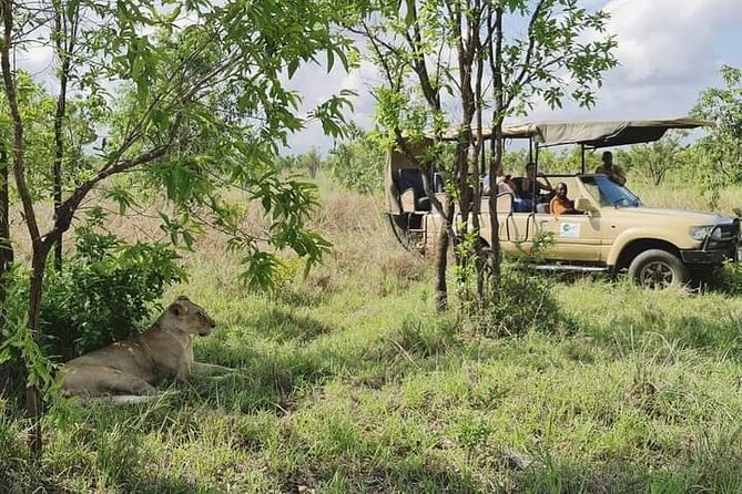 3 Days Mikumi National Park From Zanzibar or Dar es salaam - The guide makes a real difference