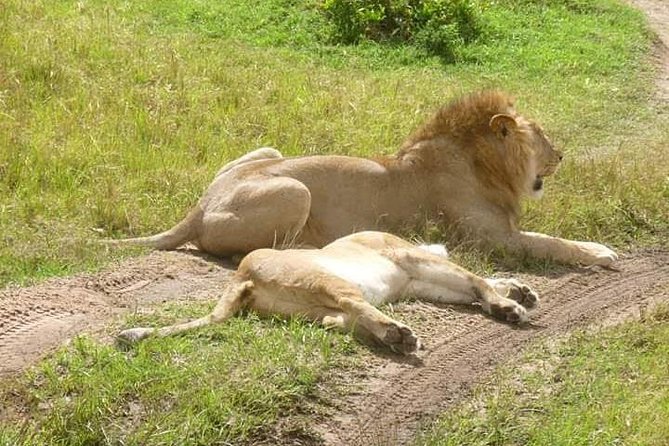 3 Days Mikumi National Park From Zanzibar or Dar es salaam - Is $870 a fair price?