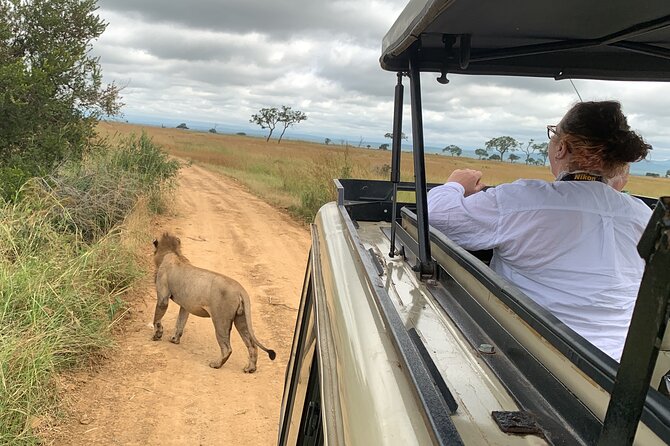 3 Days Mikumi National Park Private Tour - Why Mikumi works for a three-day safari from Dar es Salaam