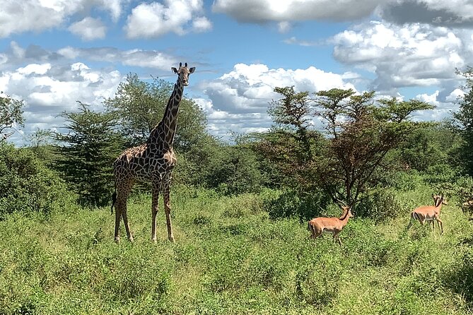 3 Days Mikumi National Park Private Tour - The 5:00 AM departure and the road to Mikumi