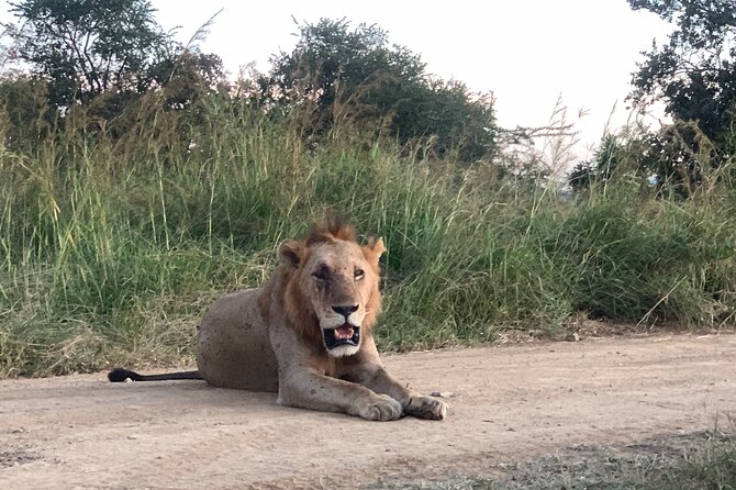 3 Days Mikumi National Park Private Tour - What the $641.03 price includes