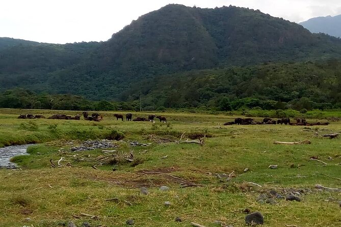 3 Days Mount Meru Trek - Why Mount Meru makes a strong three-day mountain trip