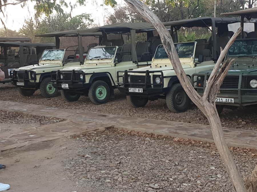 3 DAYS NYERERE NATIONAL PARK FROM ZANZIBAR BY FLIGHT. - Key points before you book