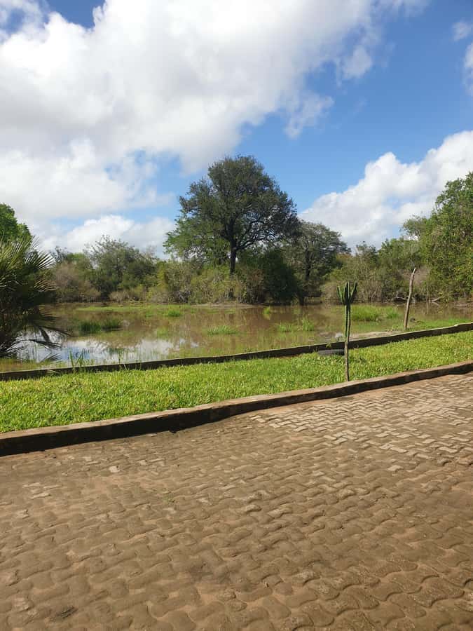 3 DAYS NYERERE NATIONAL PARK FROM ZANZIBAR BY FLIGHT. - A full game drive from 7:45 to 17:00