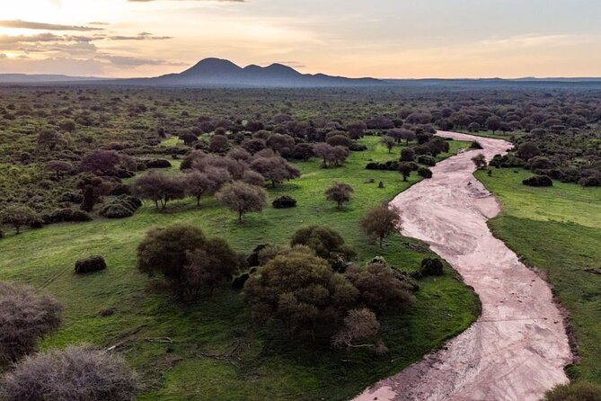 3 Days Nyerere National Park Safari (Selous Game Reserve) - Walking with an armed ranger
