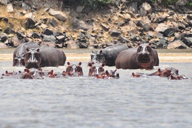 3 Days Nyerere National Park Safari (Selous Game Reserve) - What the small group means in practice