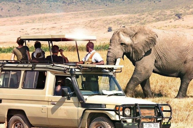3 Days of Camping Bliss in Serengeti and Ngorongoro Crater - What the vehicle and crew mean for your comfort