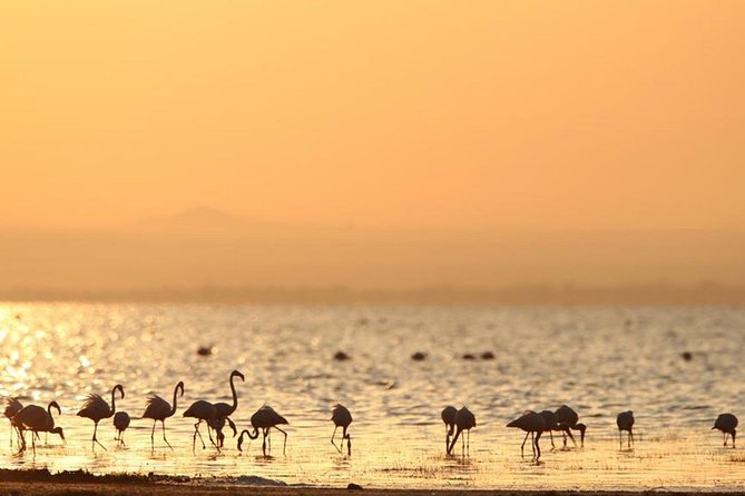 3 Days of Camping Bliss in Serengeti and Ngorongoro Crater - Group size, timing, and practical planning