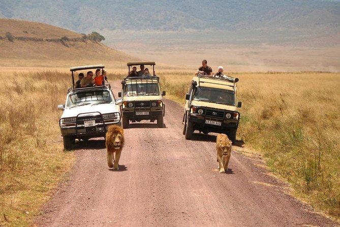 3 Days of Camping Bliss in Serengeti and Ngorongoro Crater - Who should book this safari