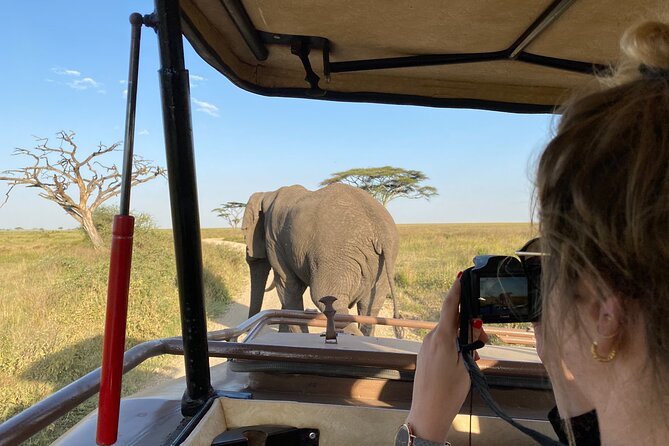 3 Days Private Budget Safari to Tarangire and Ngorongoro Crater - Ngorongoro Crater: a concentrated wildlife day